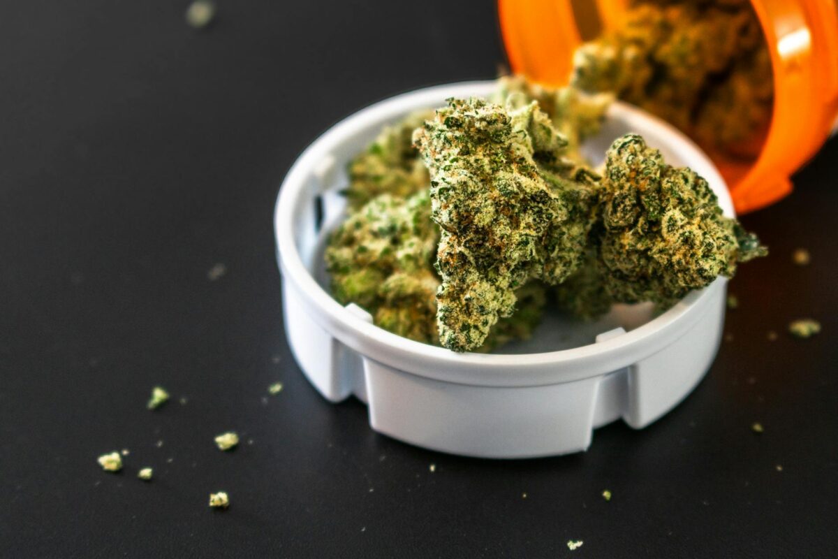dessert cannabis strains