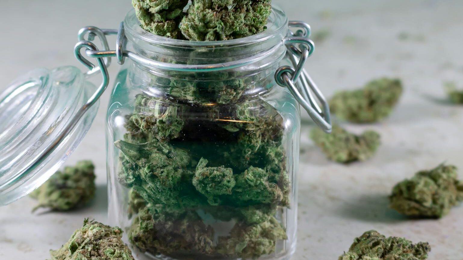 hybrid thca strains
