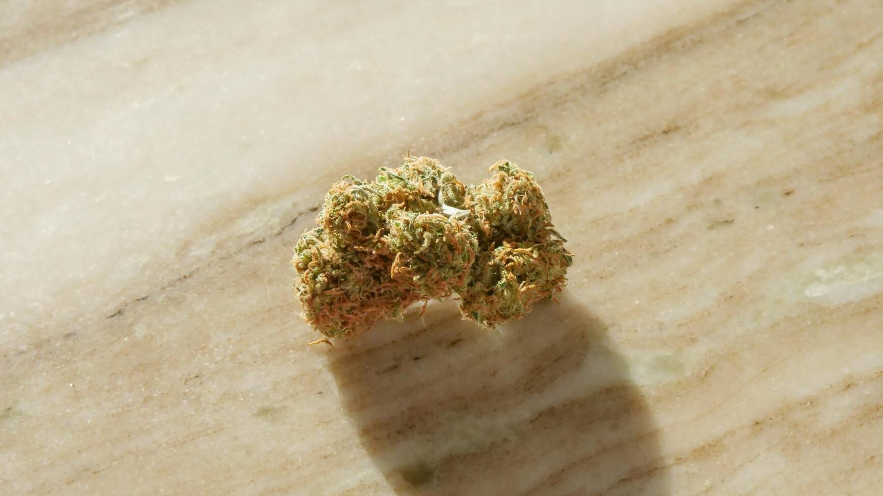 black runtz strain review