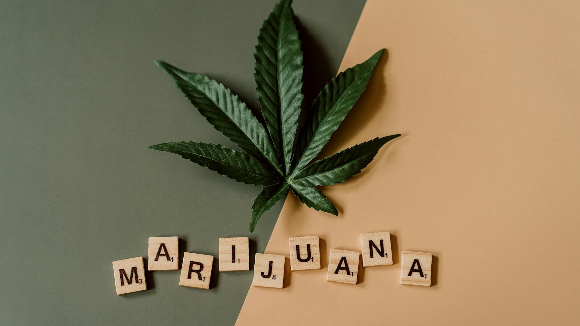 buy thca online tips